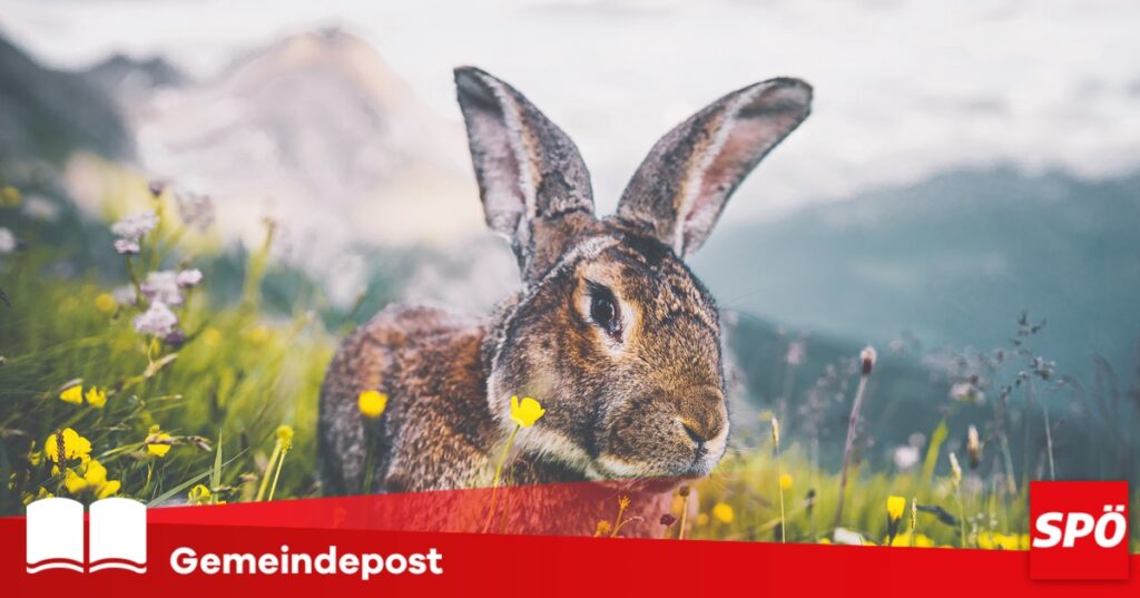 Gemeindepost SP&Ouml; Frantschach &ndash; St. Gertraud